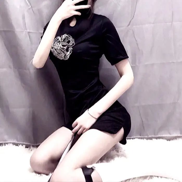 燕子与鹦鹉